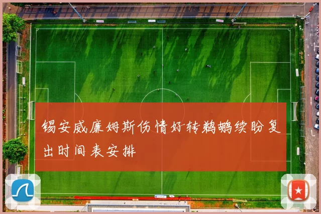 锡安威廉姆斯伤情好转鹈鹕续盼复出时间表安排