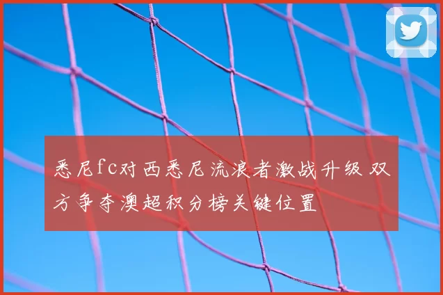 悉尼fc对西悉尼流浪者激战升级 双方争夺澳超积分榜关键位置