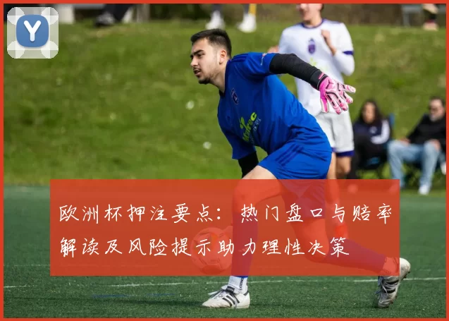 欧洲杯押注要点:热门盘口与赔率解读及风险提示助力理性决策