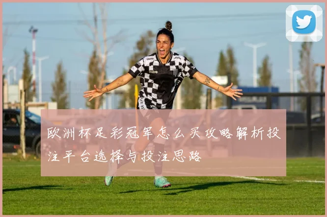 欧洲杯足彩冠军怎么买攻略解析投注平台选择与投注思路