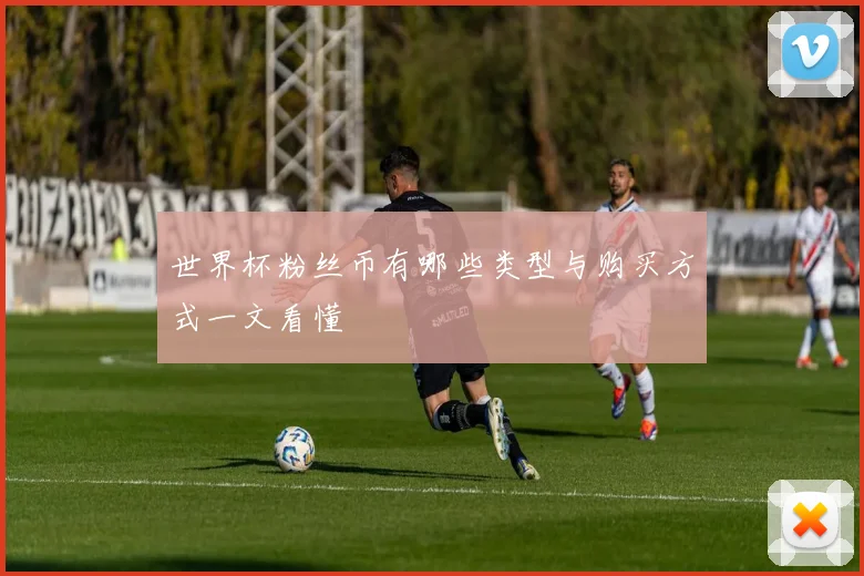 世界杯粉丝币有哪些类型与购买方式一文看懂