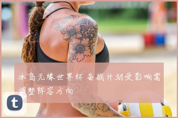 冰岛无缘世界杯 备战计划受影响需调整阵容方向